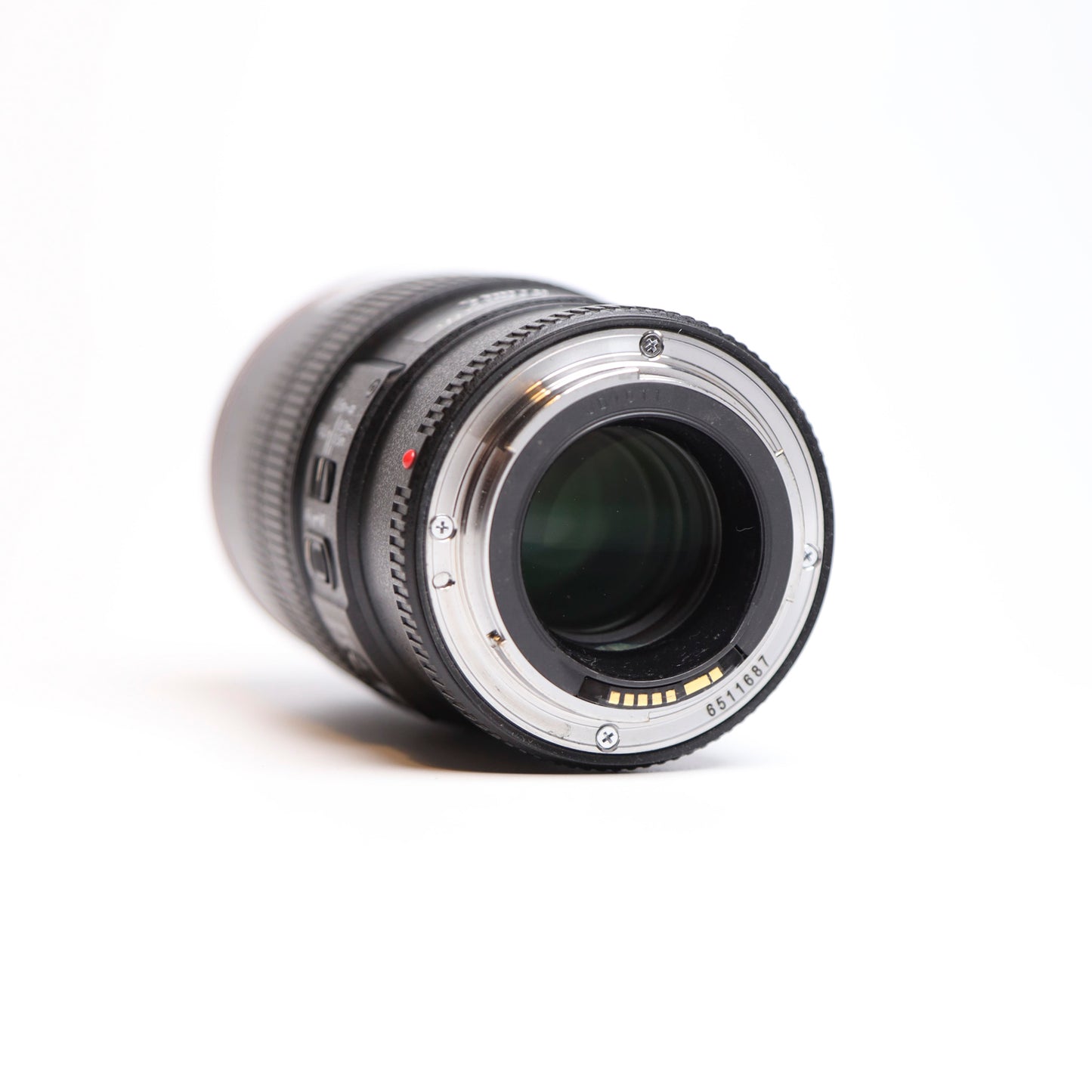 Canon EF 100mm f/2.8L IS USM Macro Lens